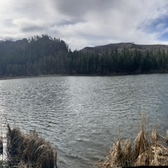 Walk Albuquerque! Luella post image