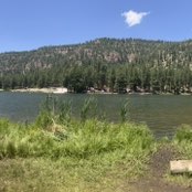 Walk Albuquerque! Luella post image