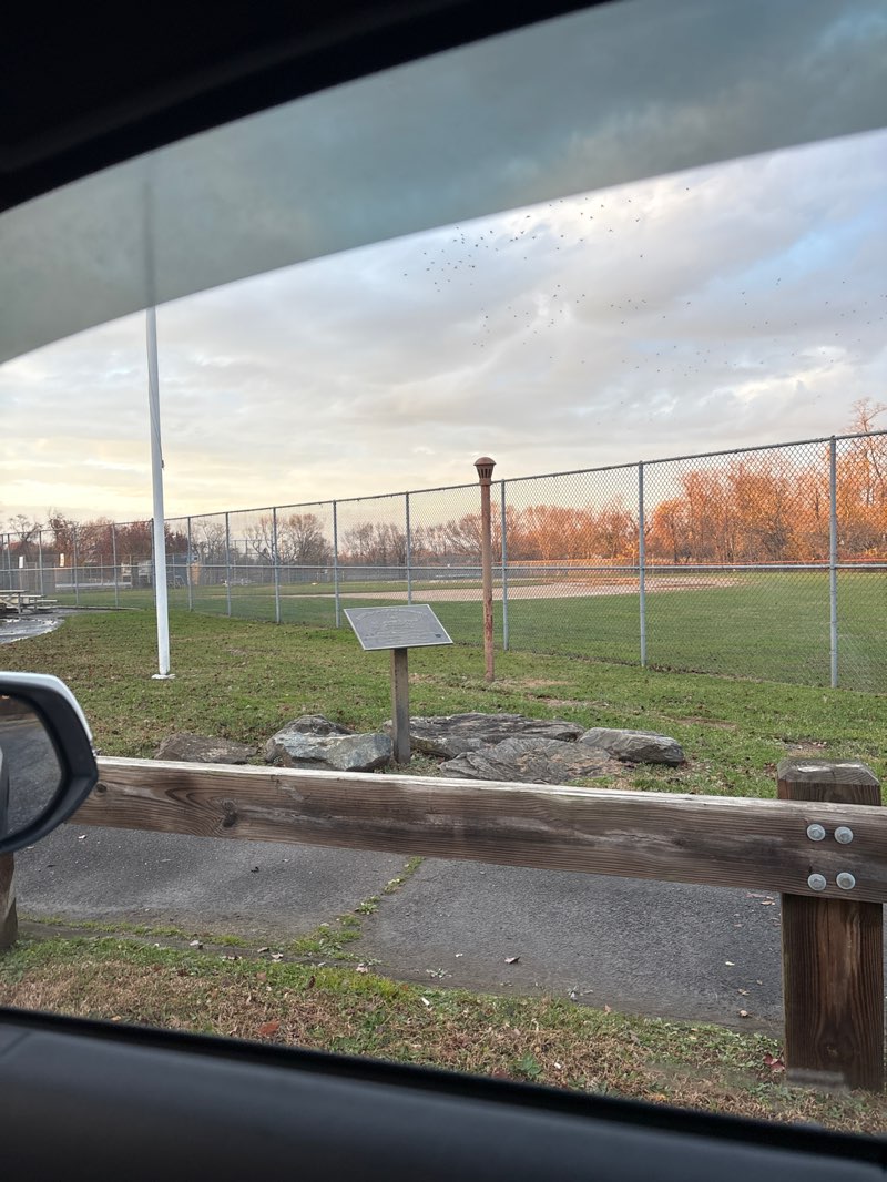 walking near me in St. John's Park in autumn