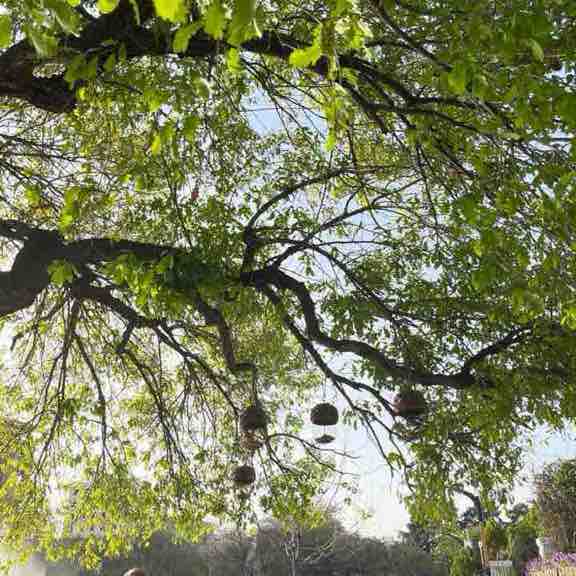 مشهد mashhad Narges post image