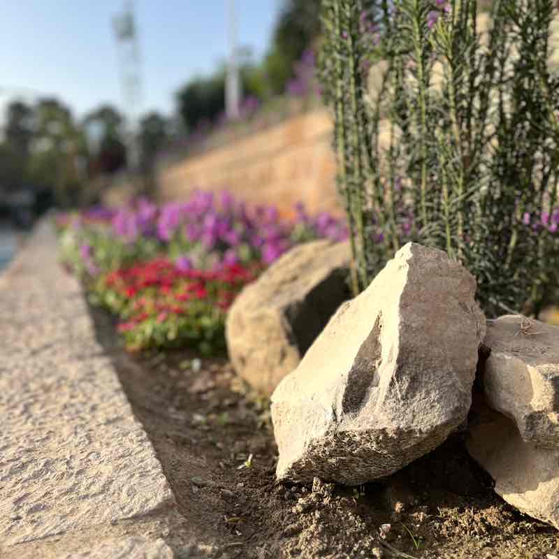 مشهد mashhad Narges post image