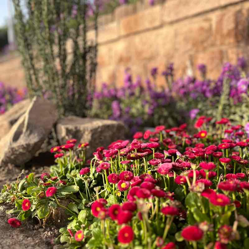 مشهد mashhad Narges post image