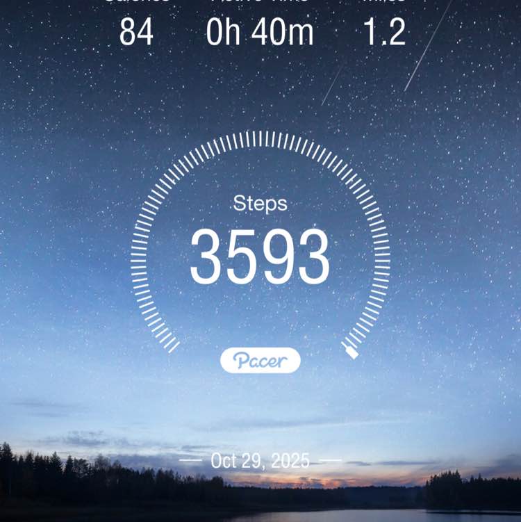 Judy Lingenhag post 1