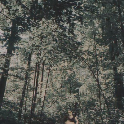 Walk  with Richie 🦕 Walk  with Richie 🦕 post image
