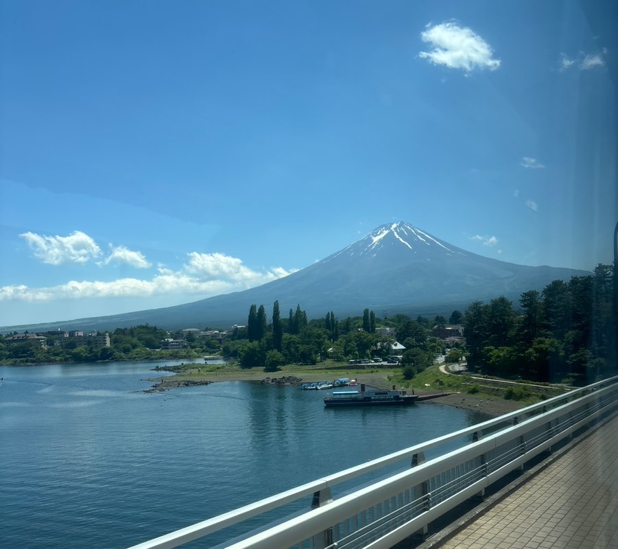 Yong Chong Hen (Topaz) R1