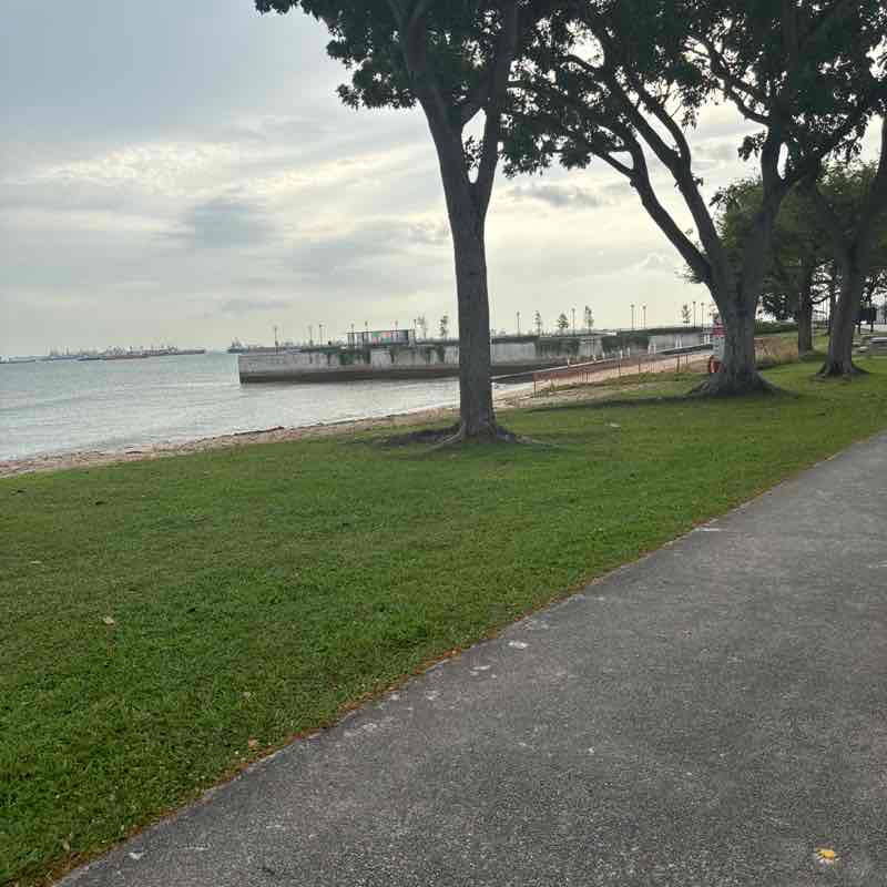 Yong Chong Hen (Topaz) R1 post 1