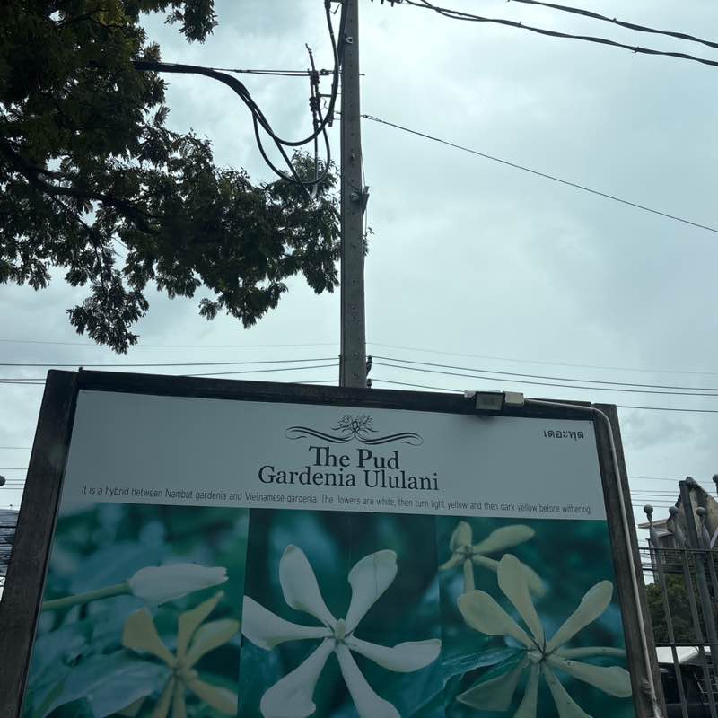 Preechadech Yves Sasima post 1