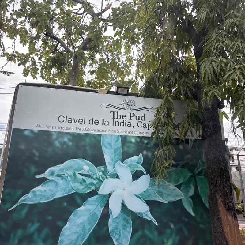 Preechadech Yves Sasima post 1