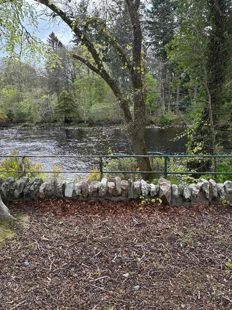 walking near me in Bught Park in spring