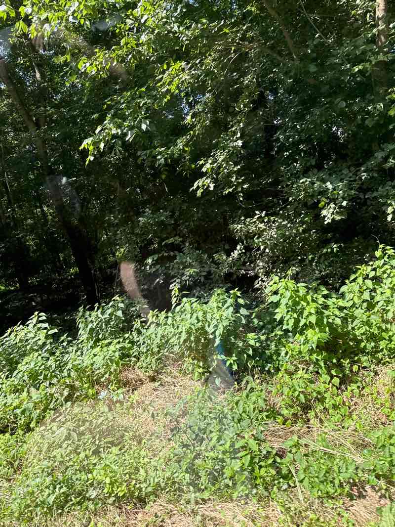 walking near me in River Road Park in autumn