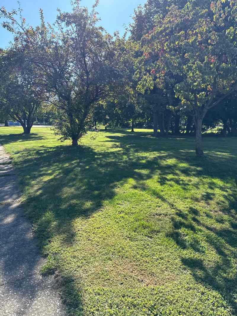 walking near me in Donald R. Taylor Memorial Park in autumn