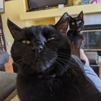 Brian Batchelder icon