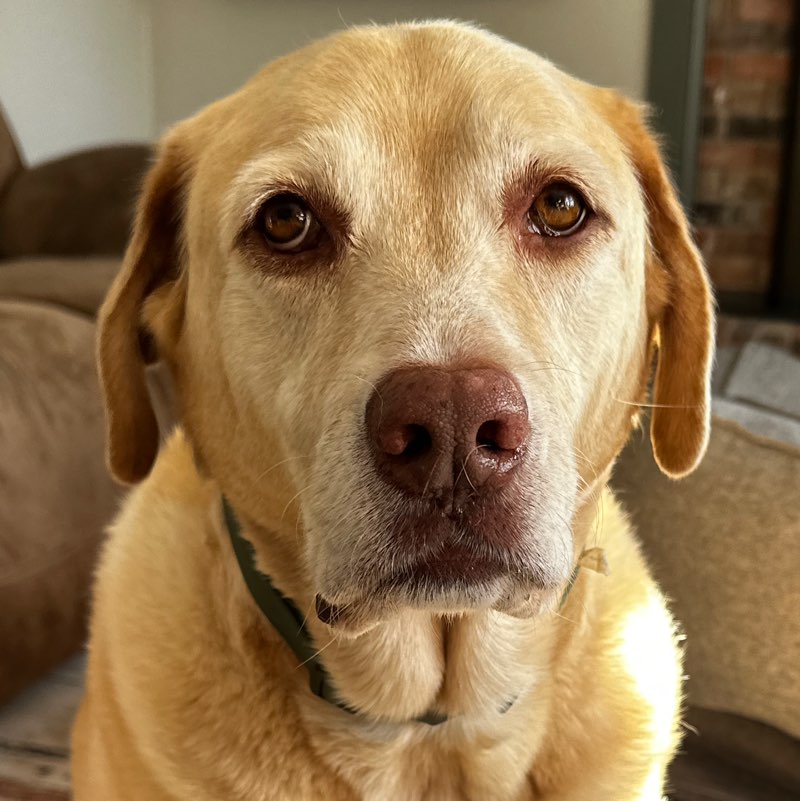 Cassie profile