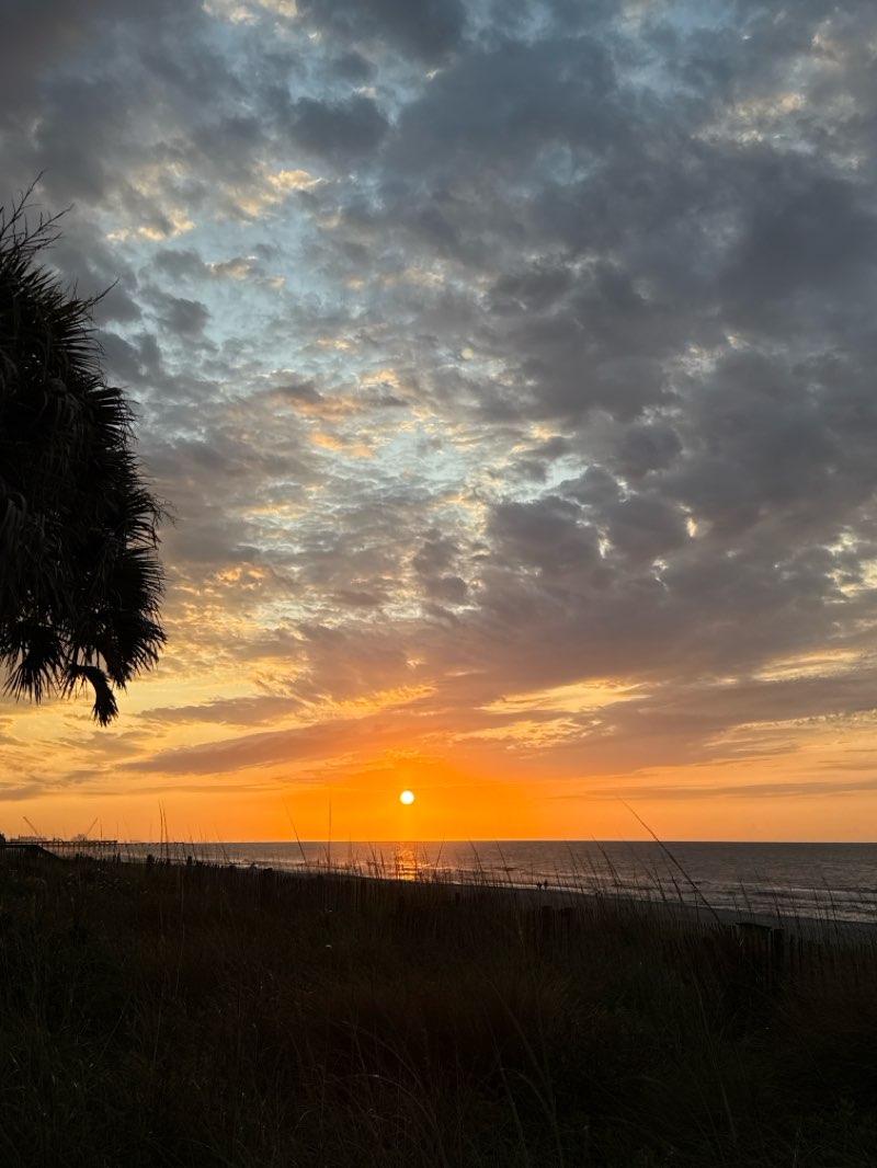 walking near me in Hurl Rock Park in summer