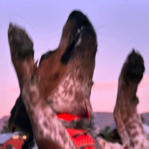 Leah Westhof profile