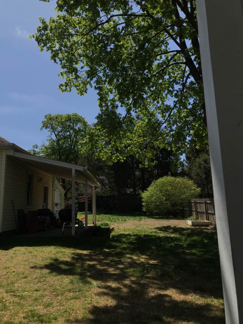 walking near me in Federal Hill Green in spring
