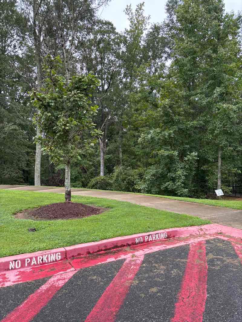 walking near me in Matt Community Park in autumn