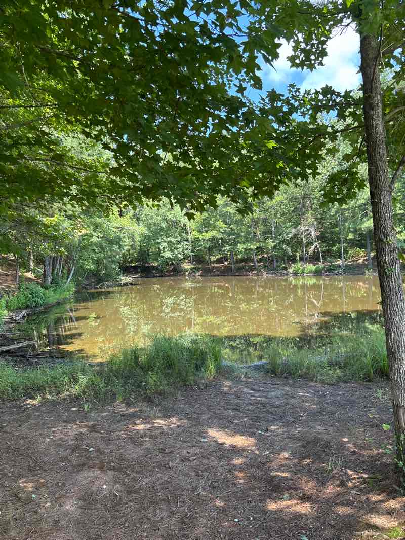 walking near me in Cherokee Veterans Park in autumn
