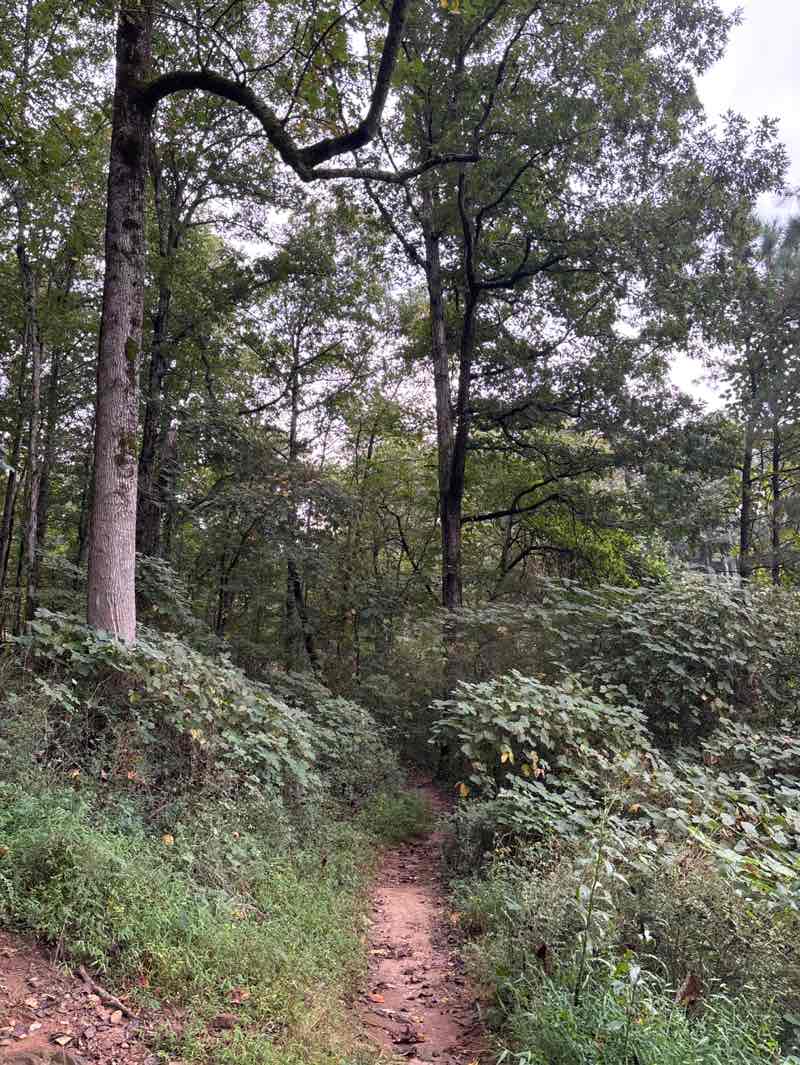 walking near me in Olde Rope Mill Park in autumn