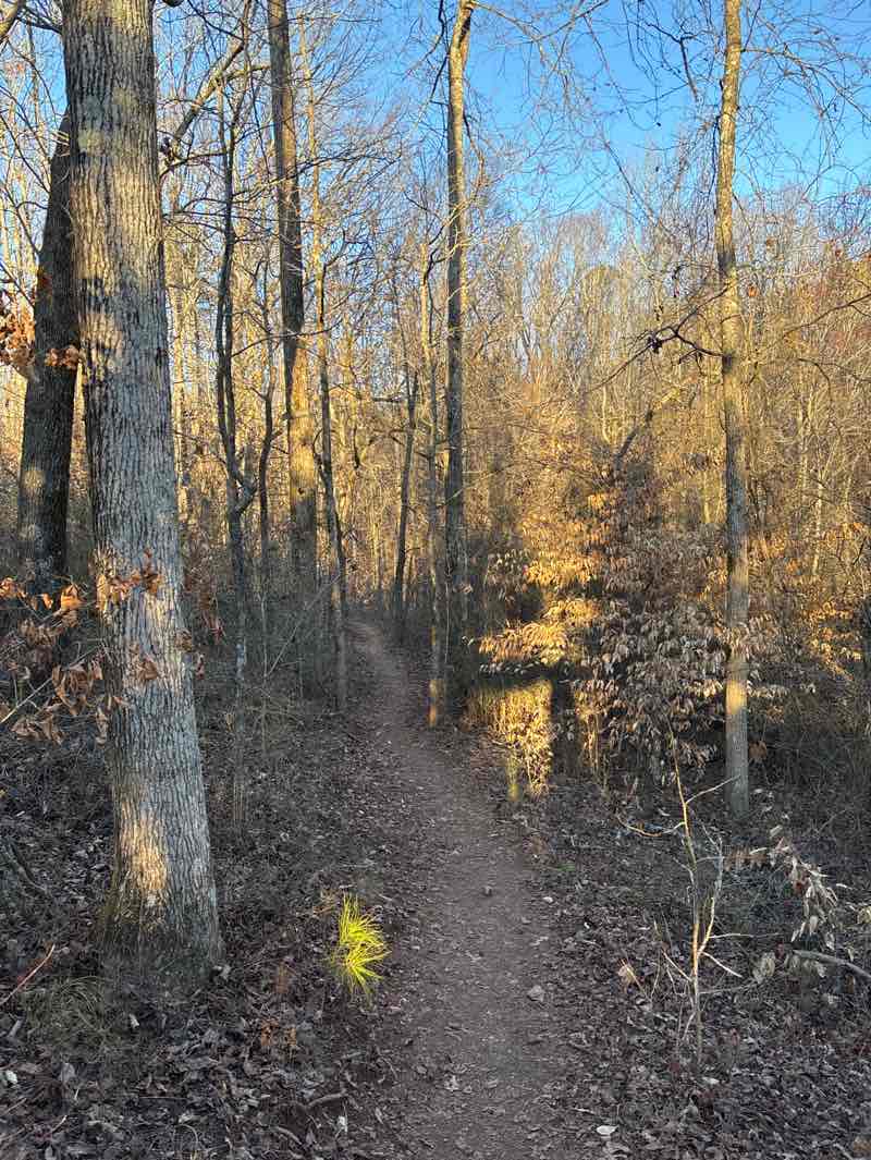walking near me in Cherokee Veterans Park in winter