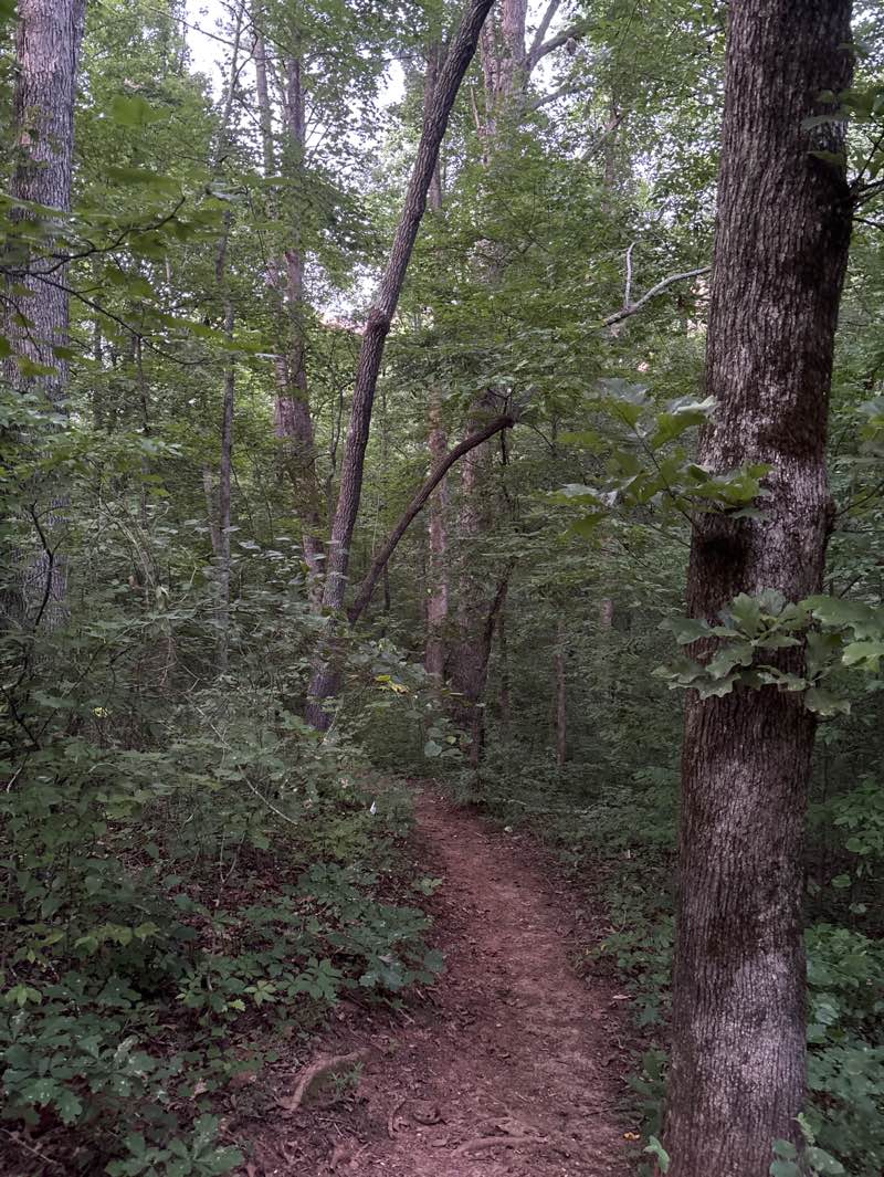walking near me in Cherokee Veterans Park in summer