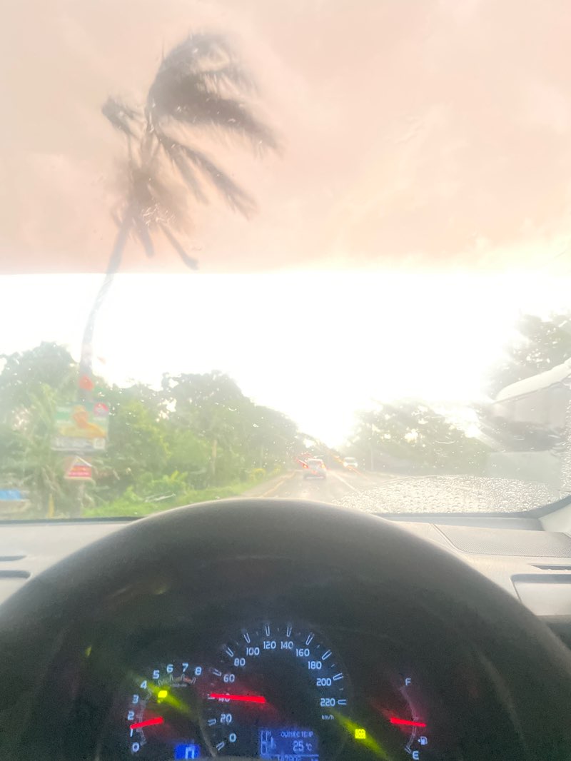 walking near me in Negril Public Park in autumn