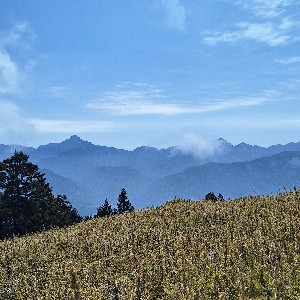 營養組-杜亭萱-385199 profile