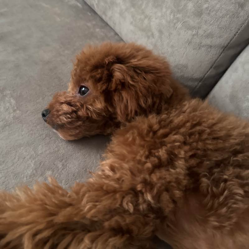 Профиль genius ulyana post image