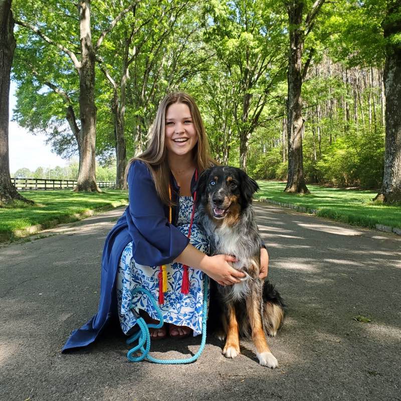 Phoebe icon