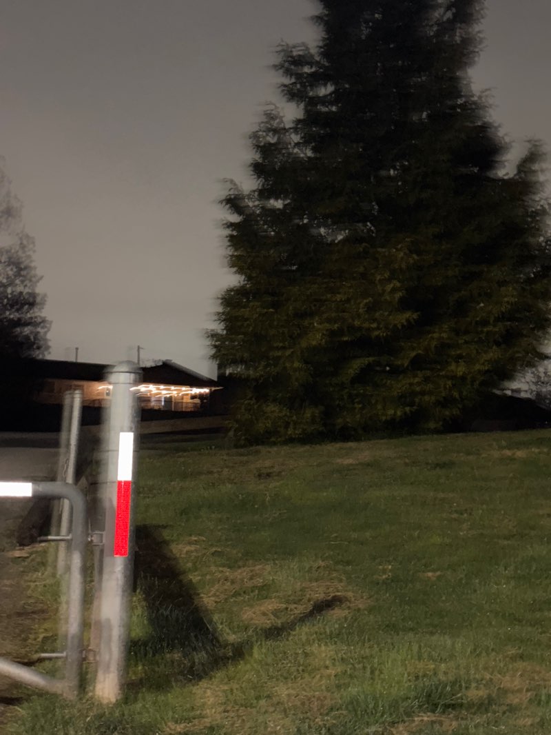 walking near me in Brydon Park in spring