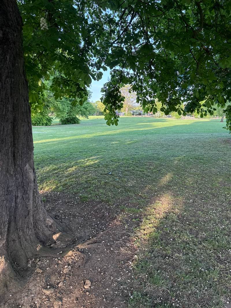 walking near me in Bulls Field in spring