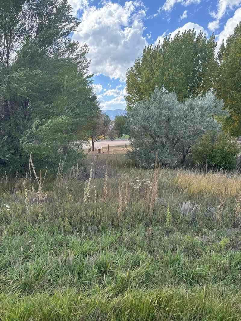 walking near me in Rampart Park in autumn