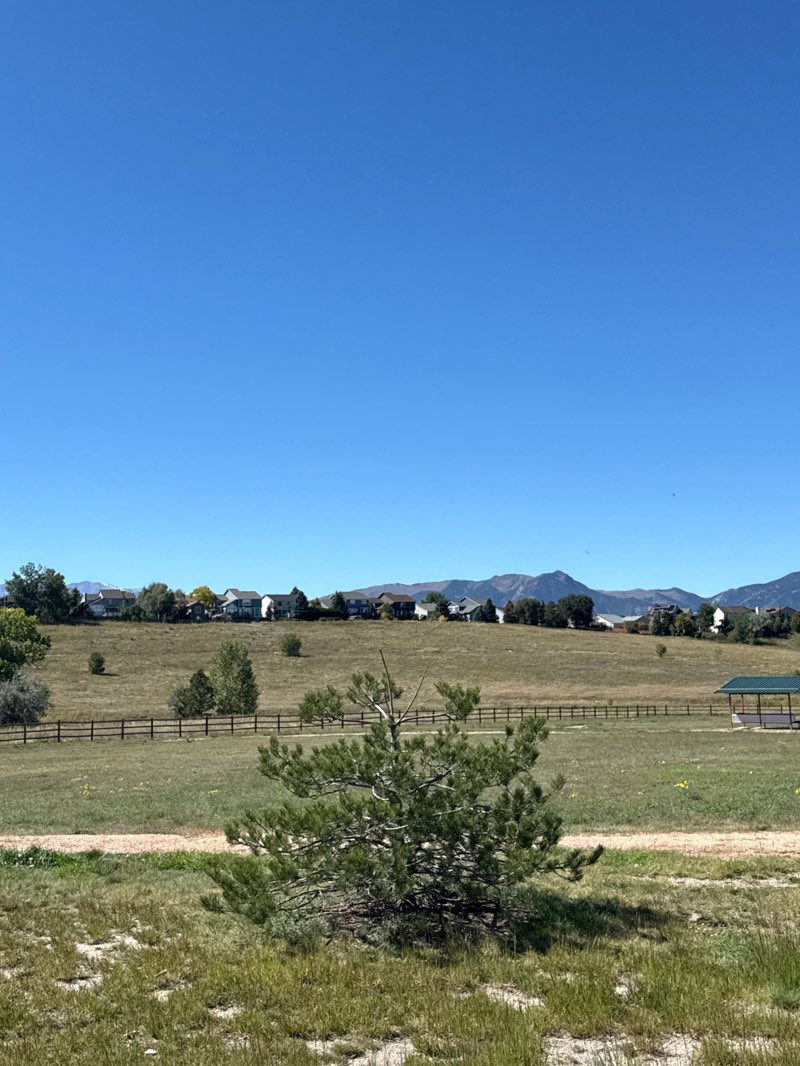 walking near me in John Venezia Community Park in autumn