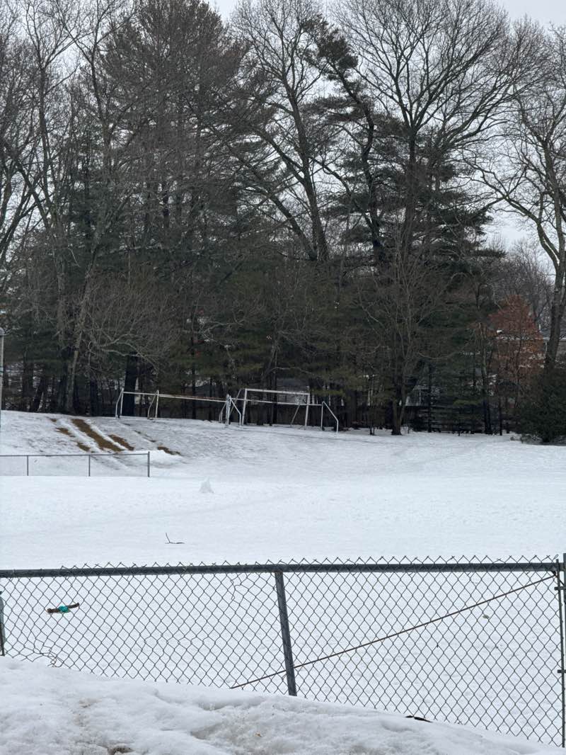 walking near me in Sullivan Memorial Park in spring