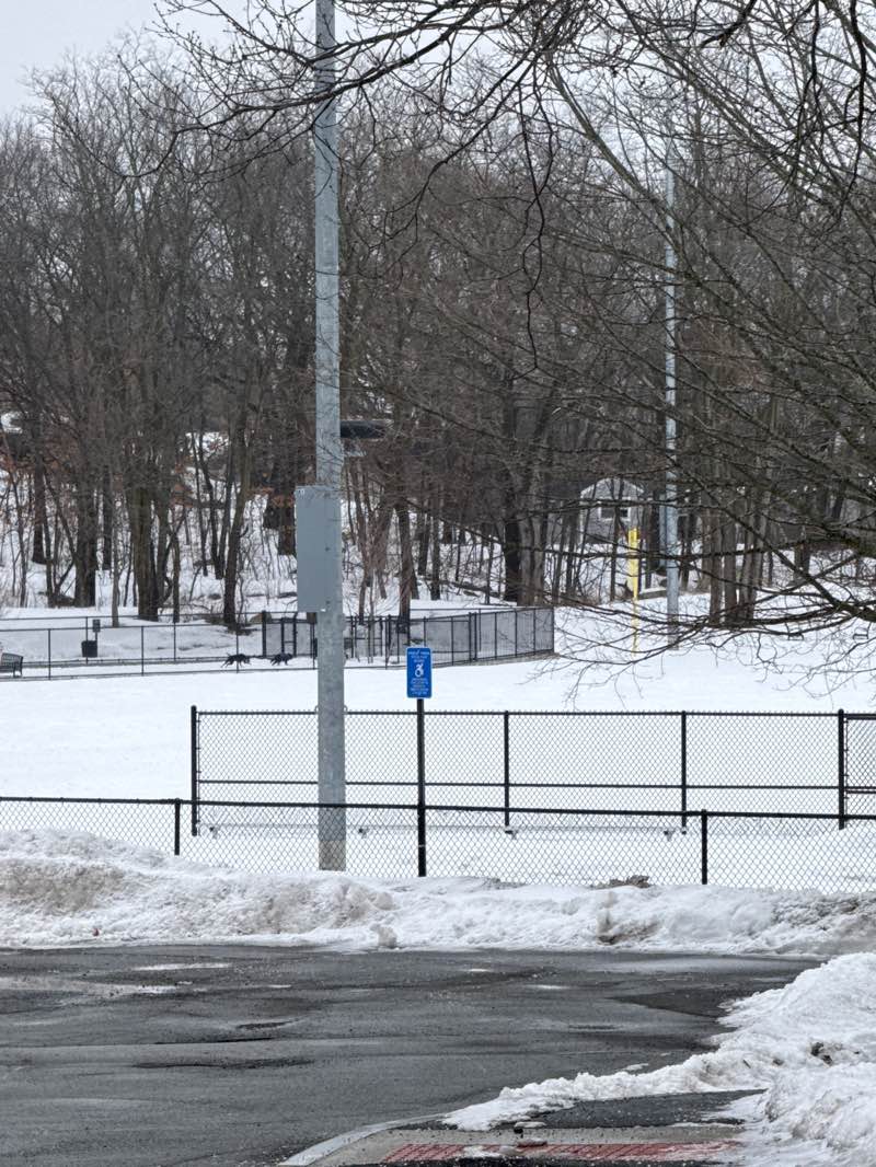 walking near me in Carr Park in spring