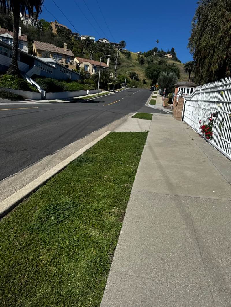 walking near me in Cascades Park in spring
