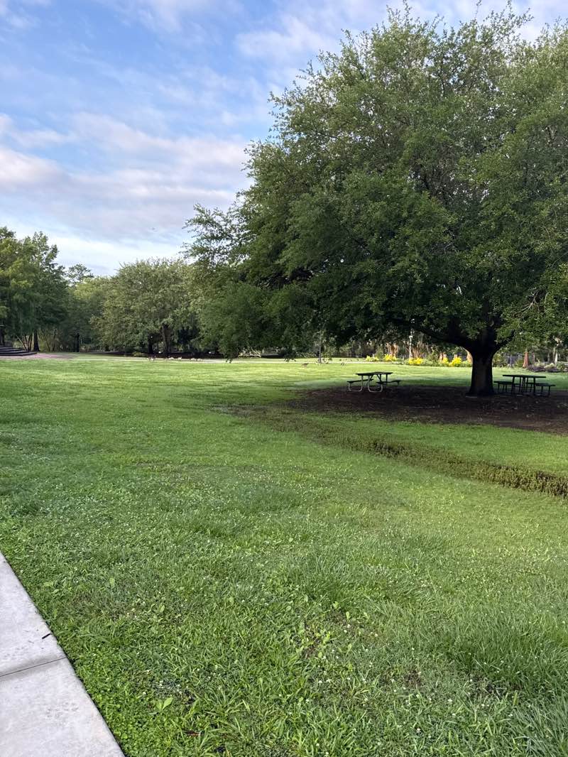 walking near me in Riverwalk Park in summer