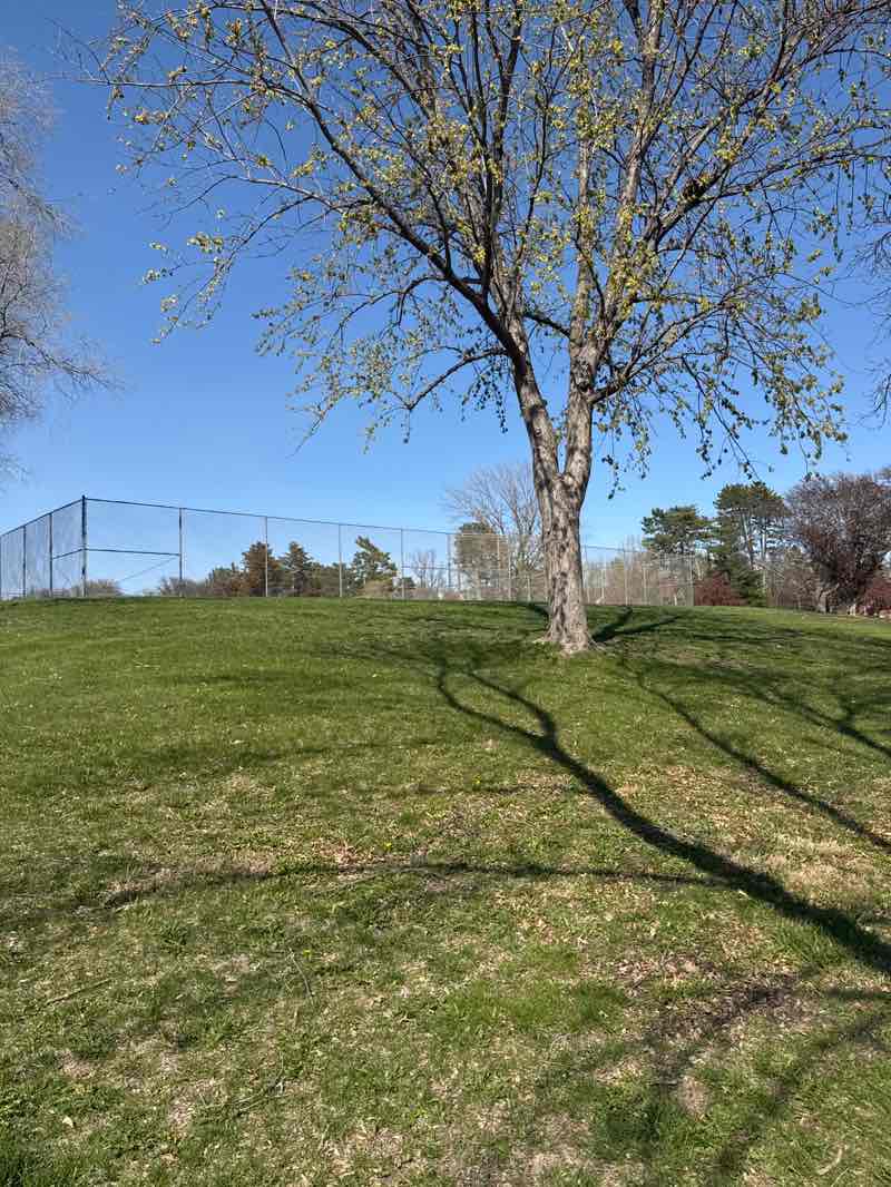 walking near me in Piedmont Park in spring