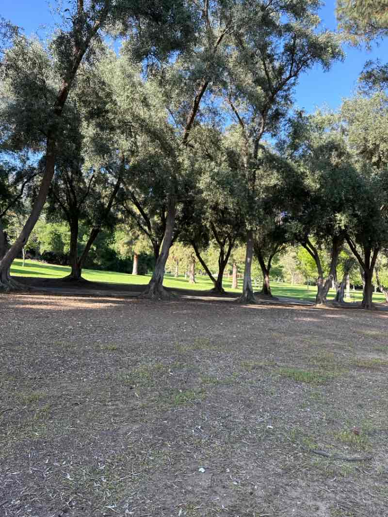 walking near me in Veterans Memorial Park in spring