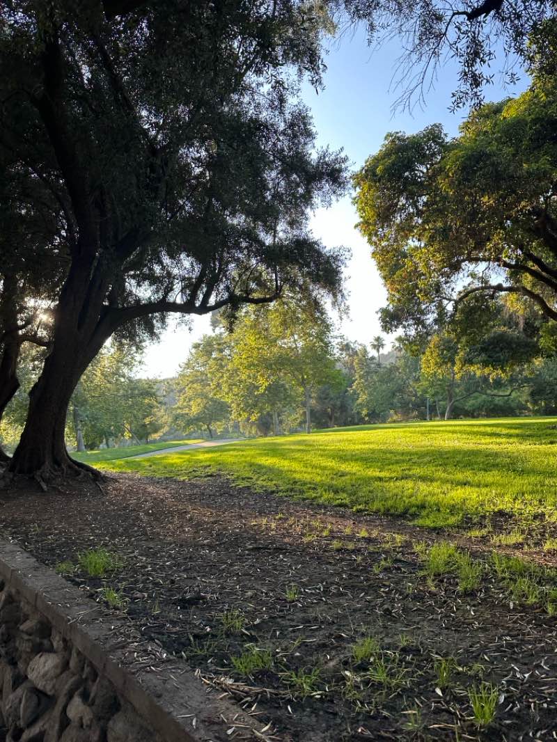 walking near me in Veterans Memorial Park in summer