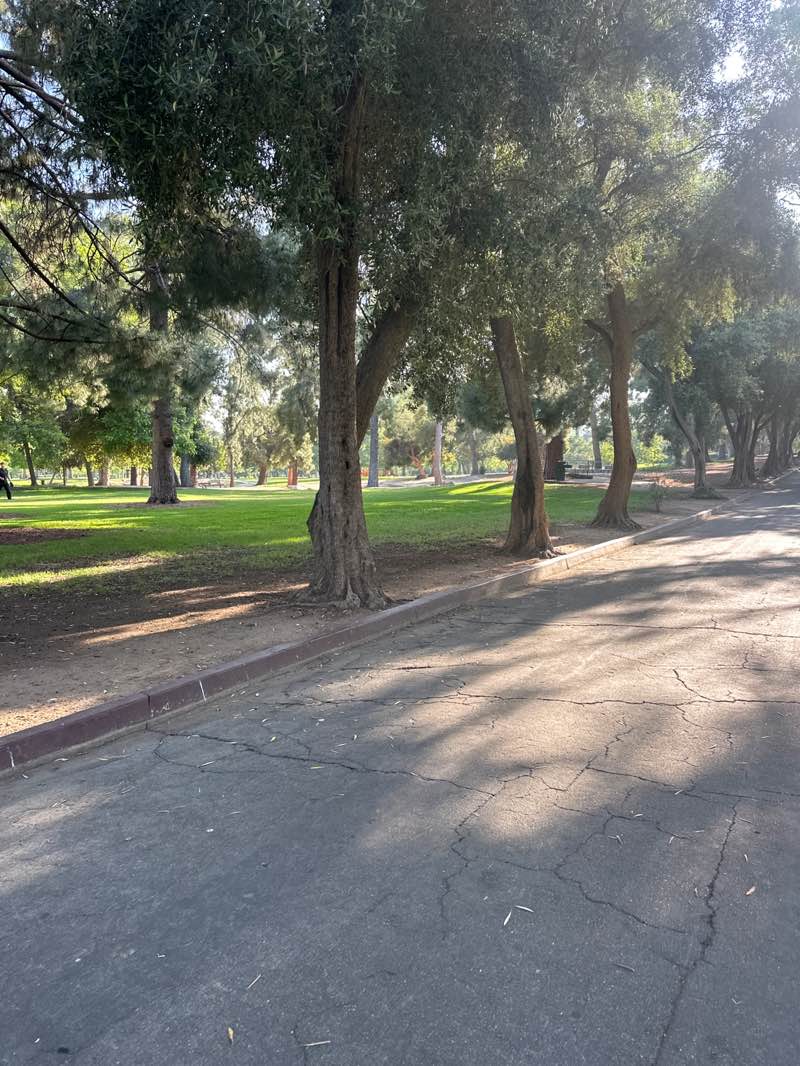 walking near me in Veterans Memorial Park in spring