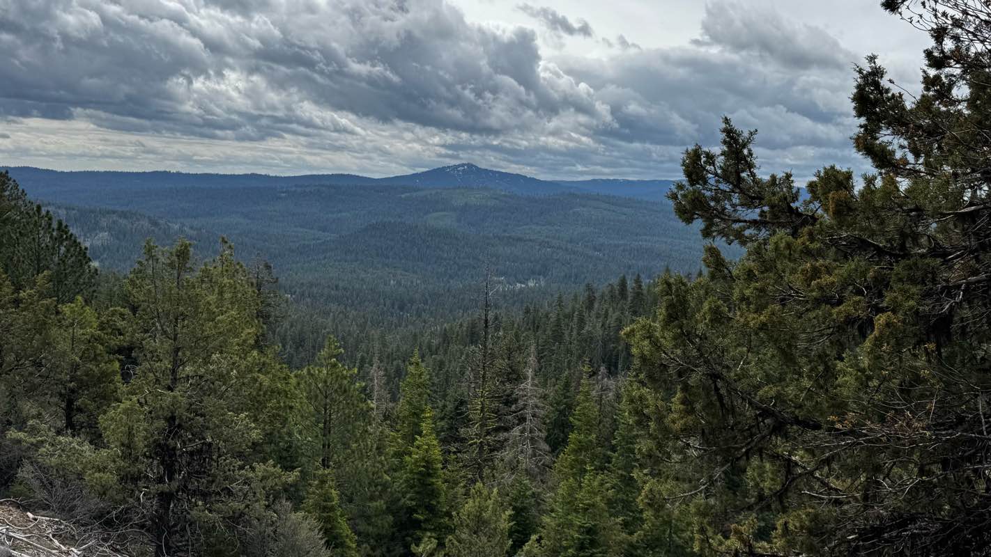 walking near me in Mill Creek Wilderness in spring