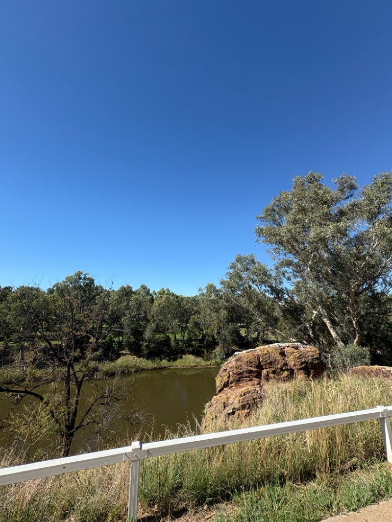 walking near me in Sir Roden Cutler Park in autumn