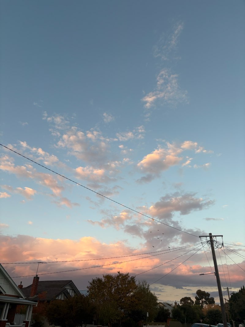 walking near me in Wollundry Lagoon in autumn