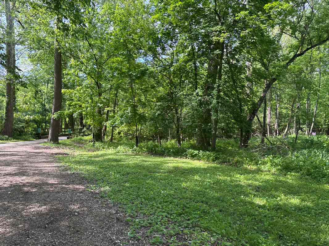 walking near me in Olentangy River Parklands in spring