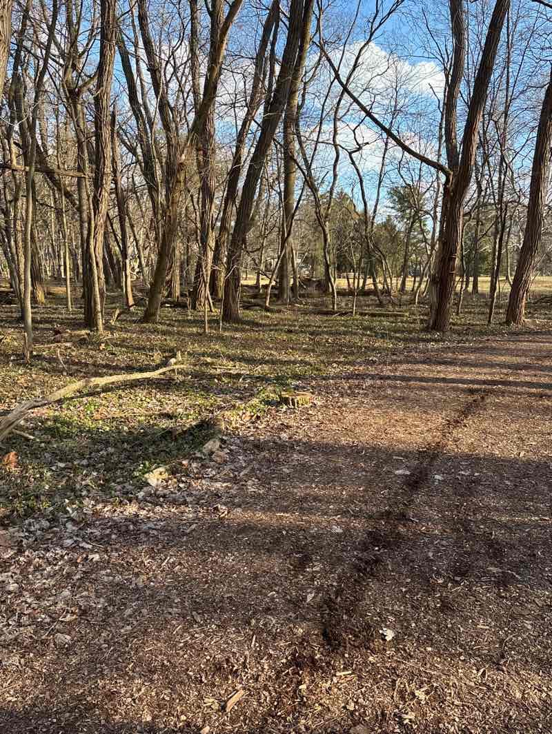 walking near me in Olentangy River Parklands in winter