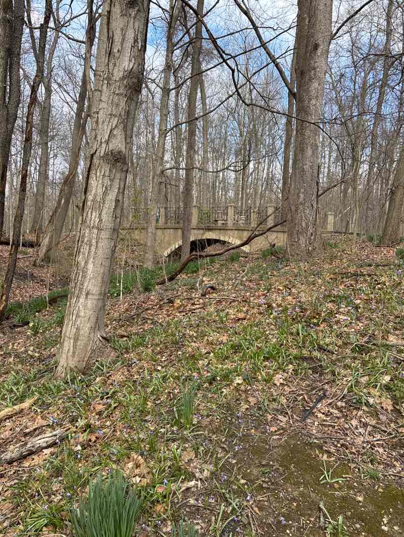 walking near me in Inniswood Metro Gardens in spring