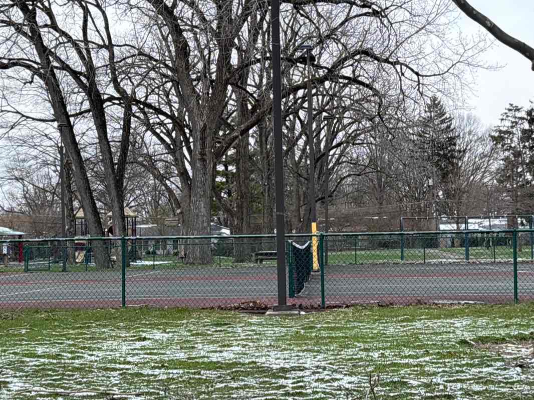 walking near me in Wilson Hill Park in spring
