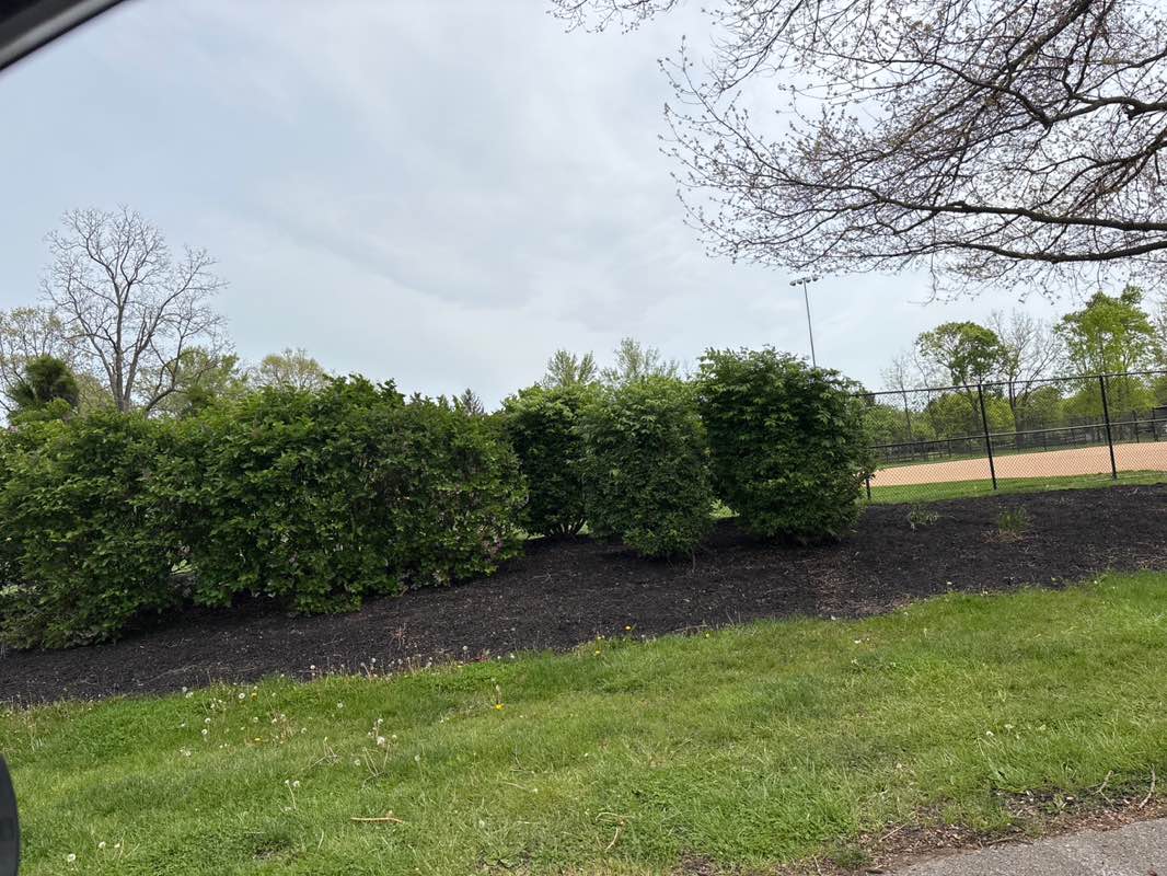 walking near me in Avery Park in spring