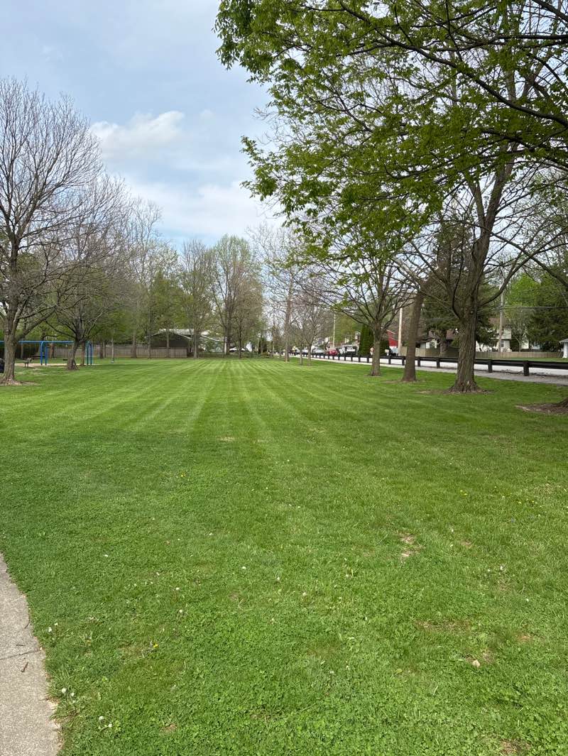 walking near me in Heischman Park in spring